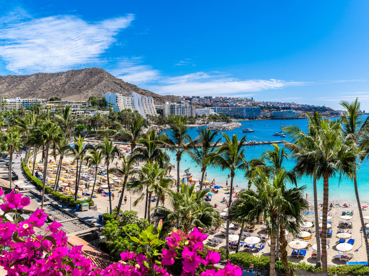 Anfi del Mar, Patalovas © stock.adobe.com - Serenity-H